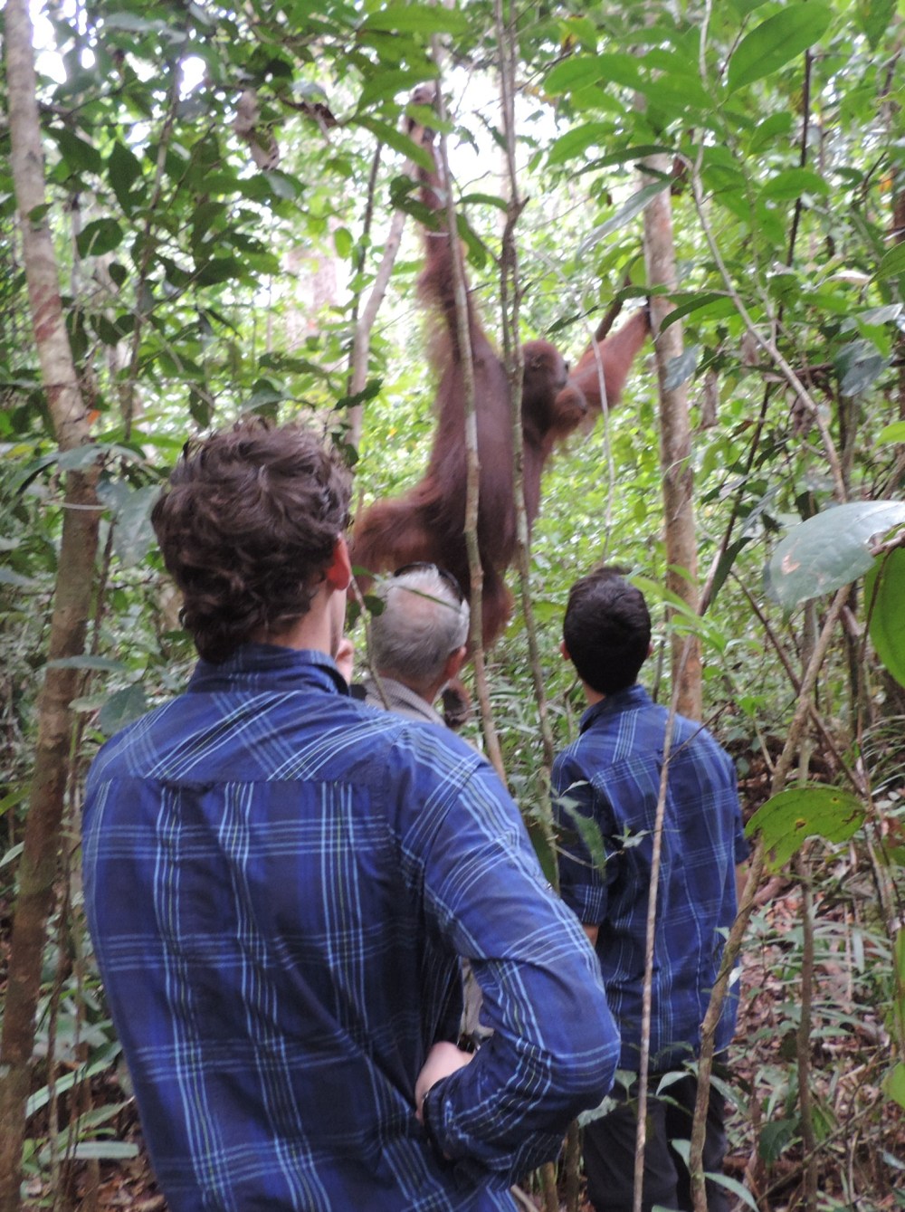 089F3371-7FD2-4305-87E9-15A6142125BE