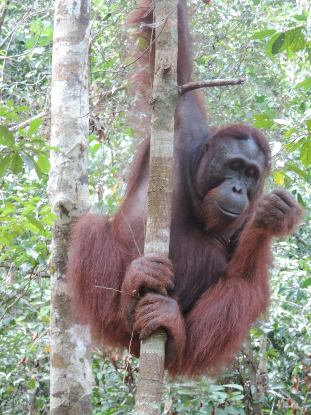 12B16ED5-C87F-45BE-B5A6-3B8407DD5E0B