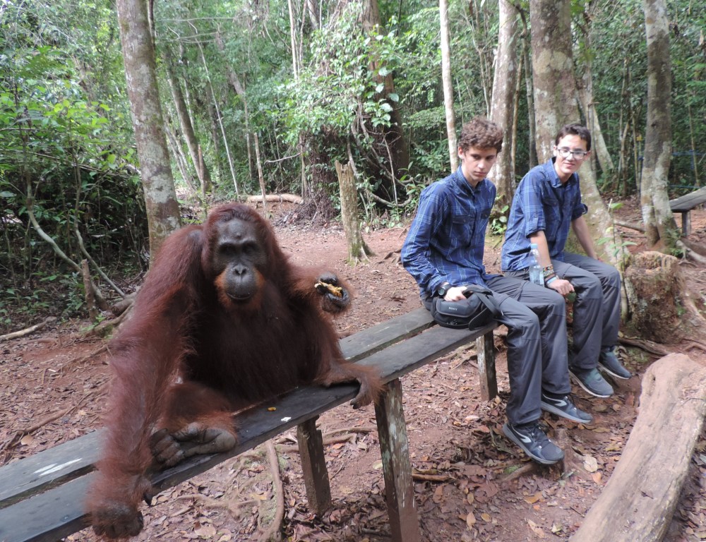 1D6DCD3B-7E62-486F-BFDA-06895FEE11BB