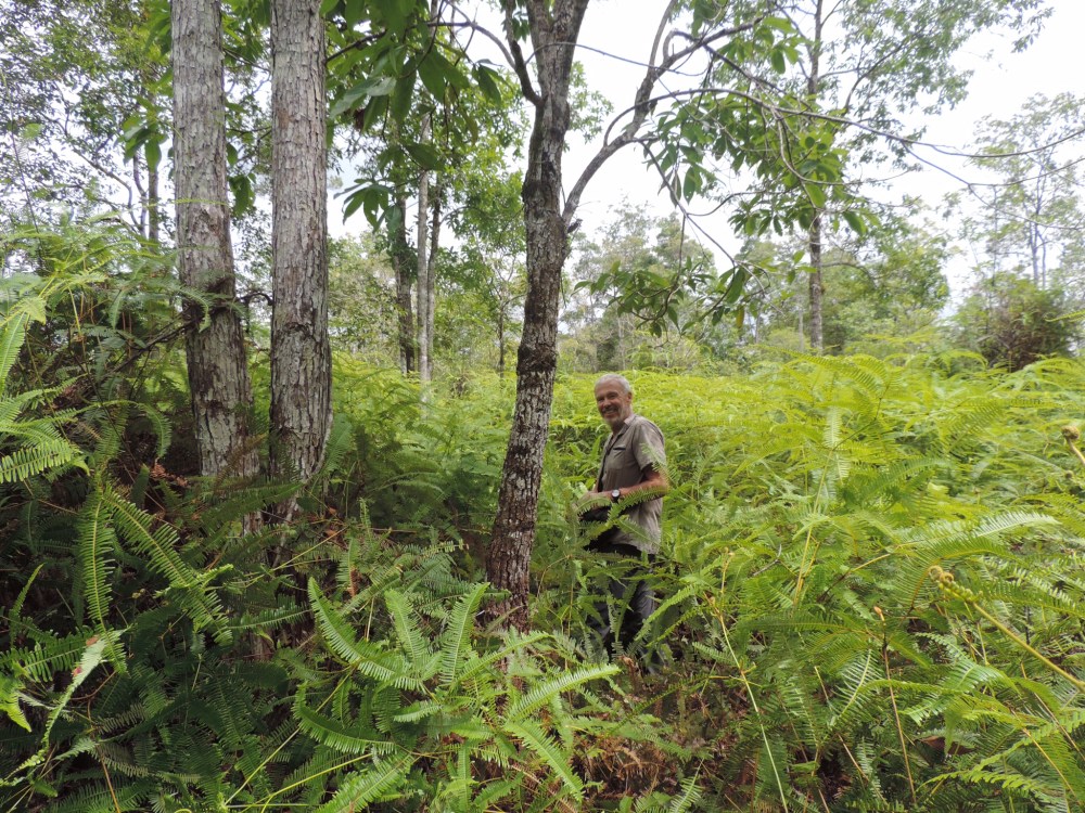 2BD47EE5-DC19-42B3-A760-BBF7804676BB