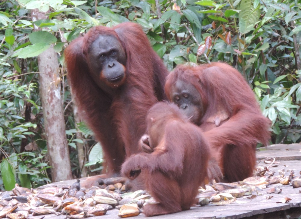 30EFC3D1-0355-4D05-AB30-26EEC8083069