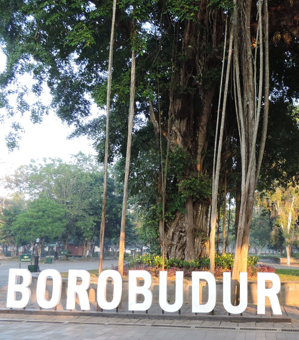 34BC6ADD-6804-46F6-8770-655F77394D88