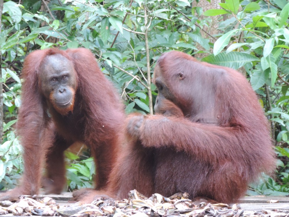 3BD64F2E-4F15-4F81-A2A0-A07F6769237B