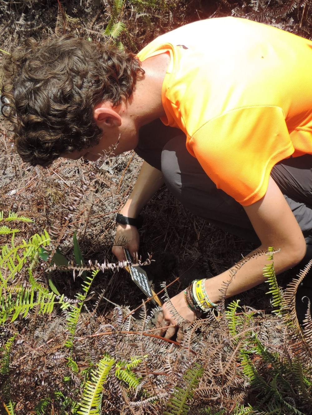 3F3360E9-C665-453C-9677-7FA541E75178