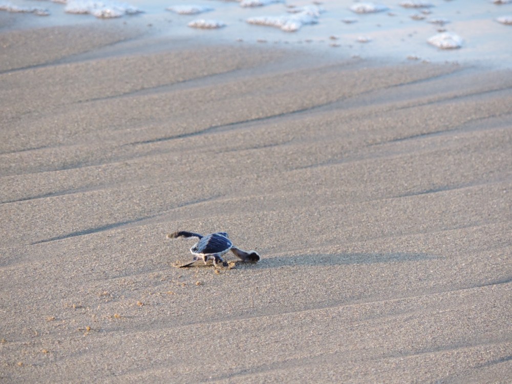 464E51F7-1781-4C37-AC43-C93CC4B6590D