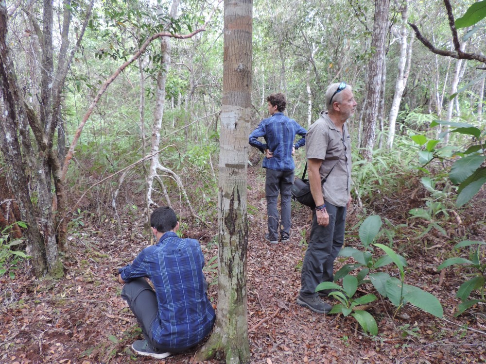 47102CAC-9B23-4E22-AAE4-9A75D271296E