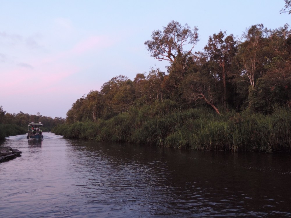 54831BE2-6C54-4607-AFF8-140B703A1C36