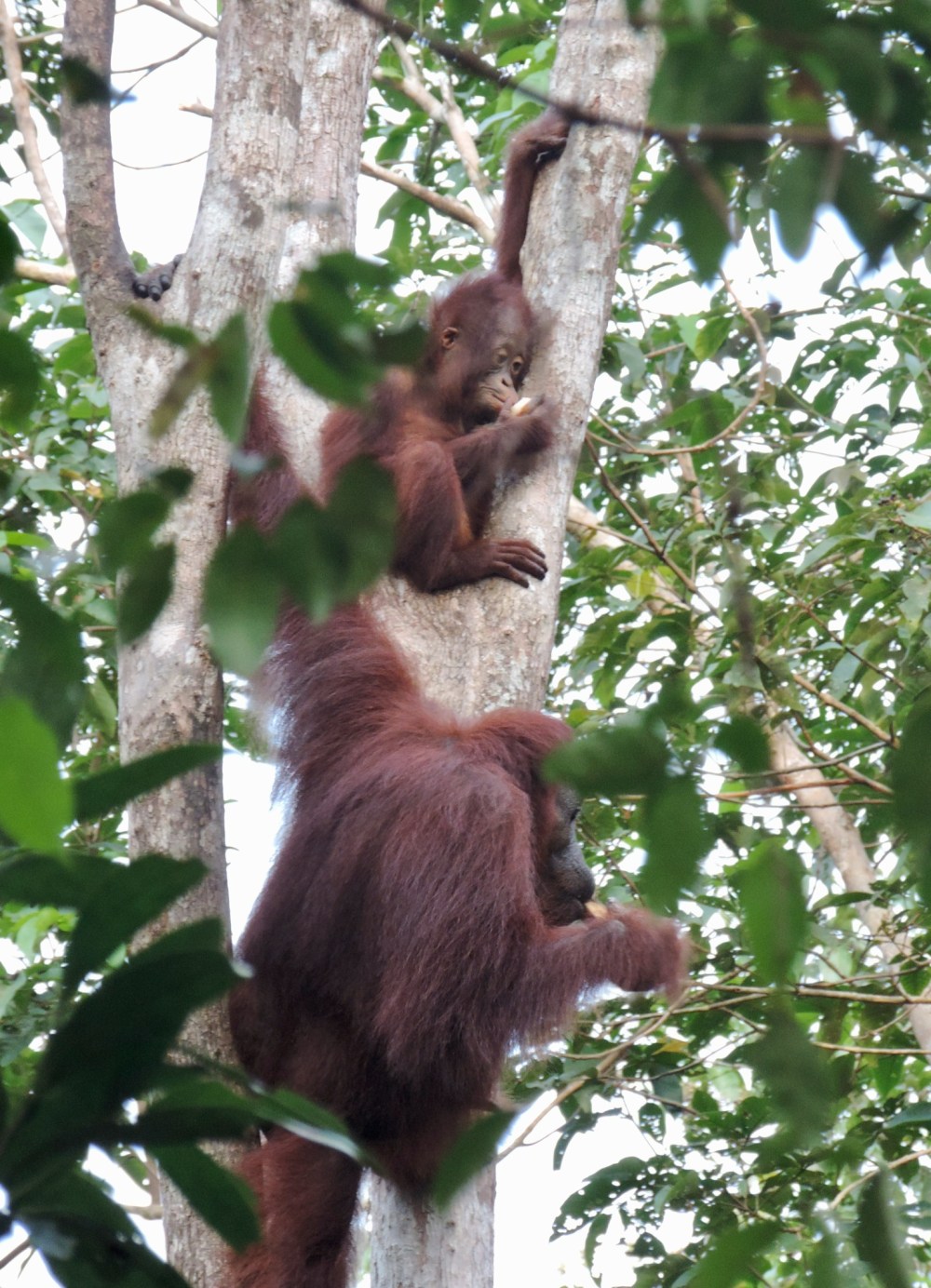 693DA37A-9703-4E52-9DB6-91FDCB993D20