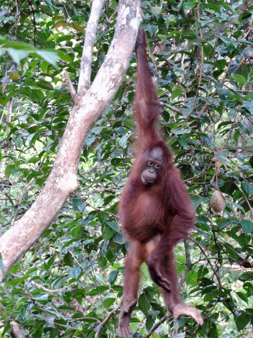 902D6FA0-4E08-46D0-811C-A2DCDD45A86D