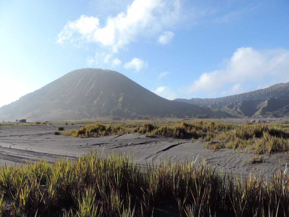 9D607725-BFE8-4F9E-BA07-A095C4DDFA26