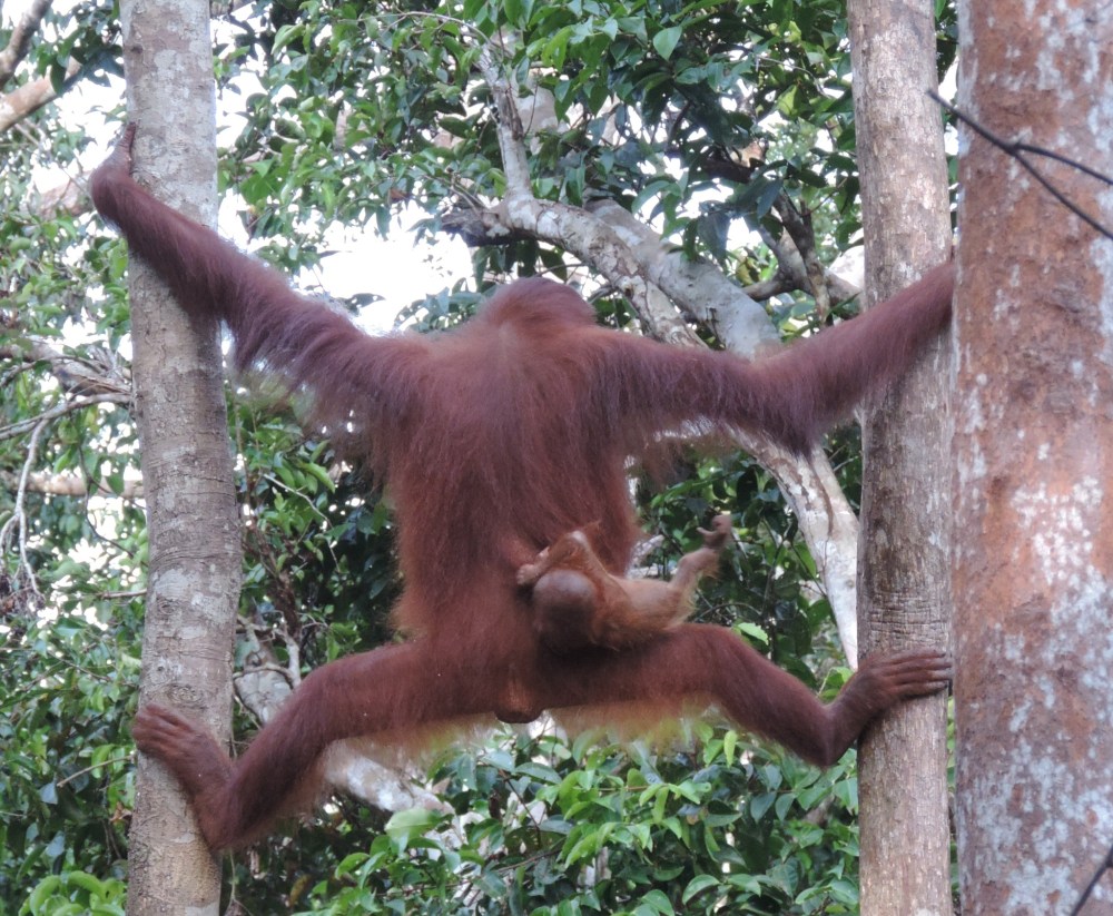 9F58C26C-31B8-4653-B472-9675C5223A25