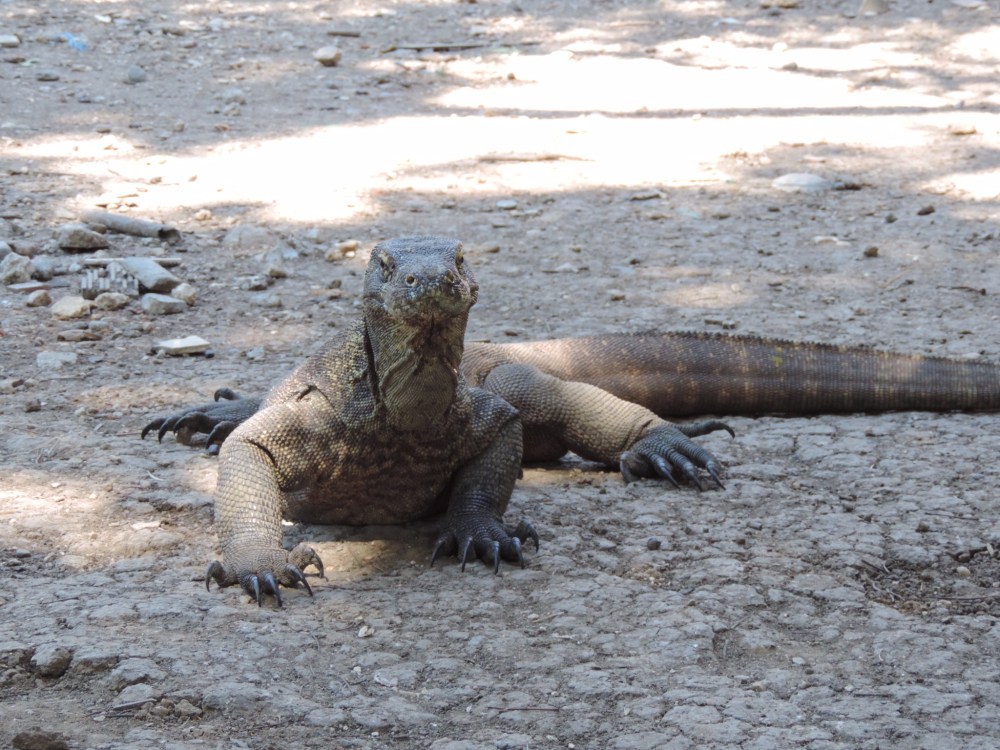 C70D2659-D3AE-4A81-BD7B-E8E9569FDED4