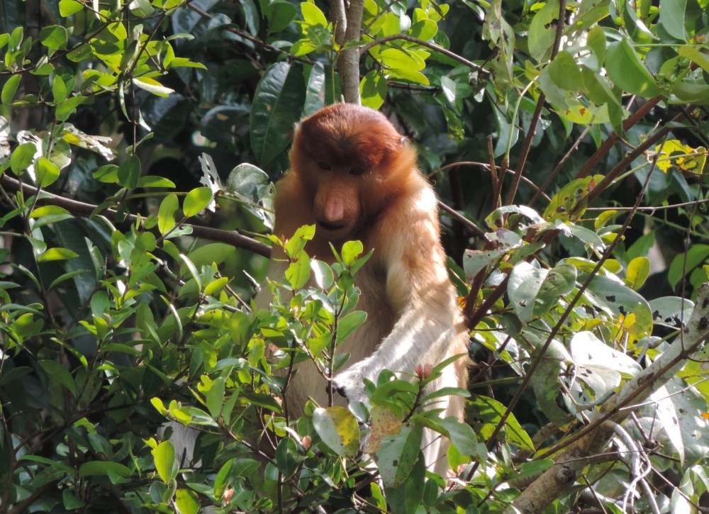 DE8CB8B2-5016-4C85-B4CB-A8CCD6C20000