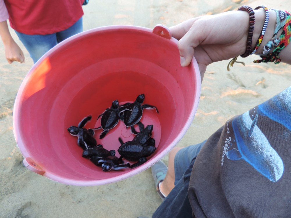 E10FD824-A34F-4A01-8BC6-59C615963CA5