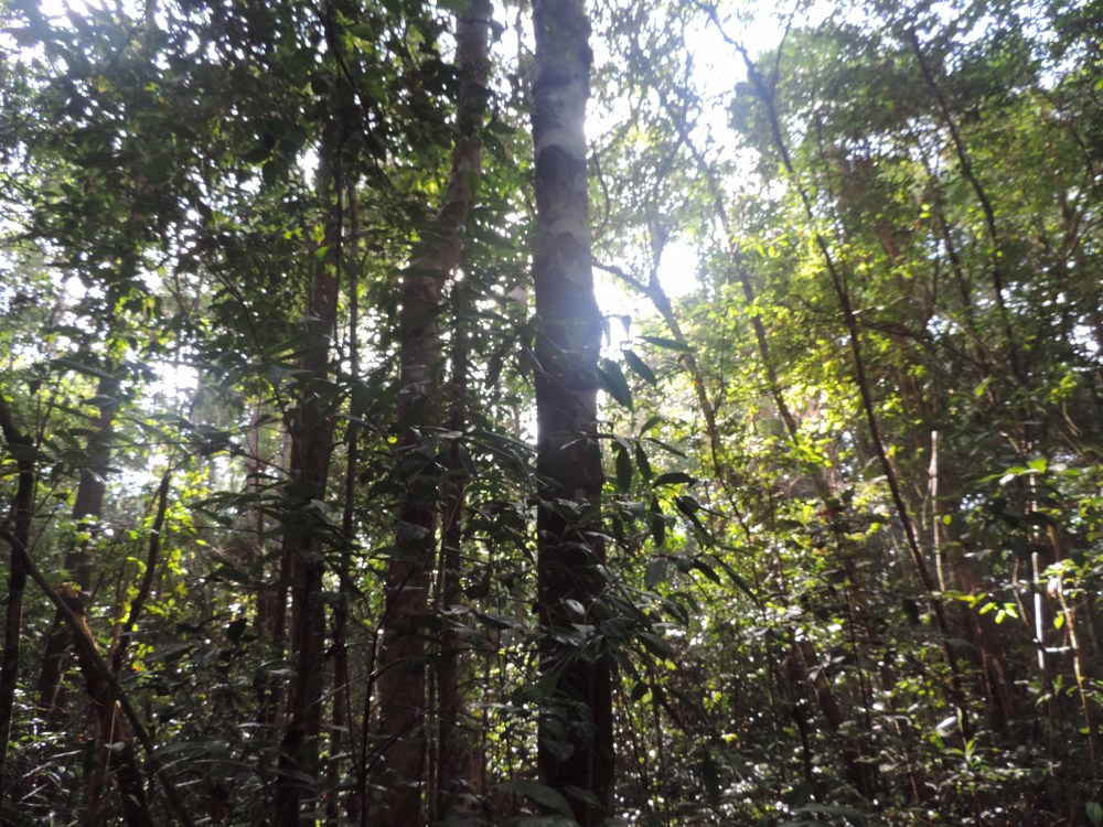 F67FD5BD-63D6-4832-B256-66BFC75961E6