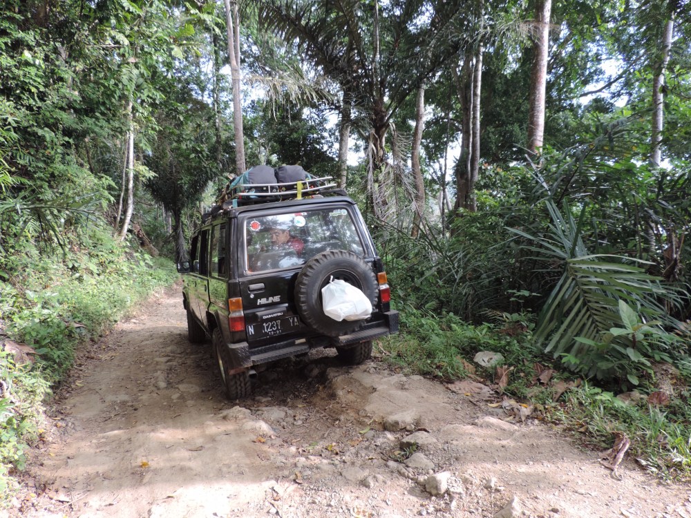 FE2AA38A-55B9-402B-AE75-D55485DB253F