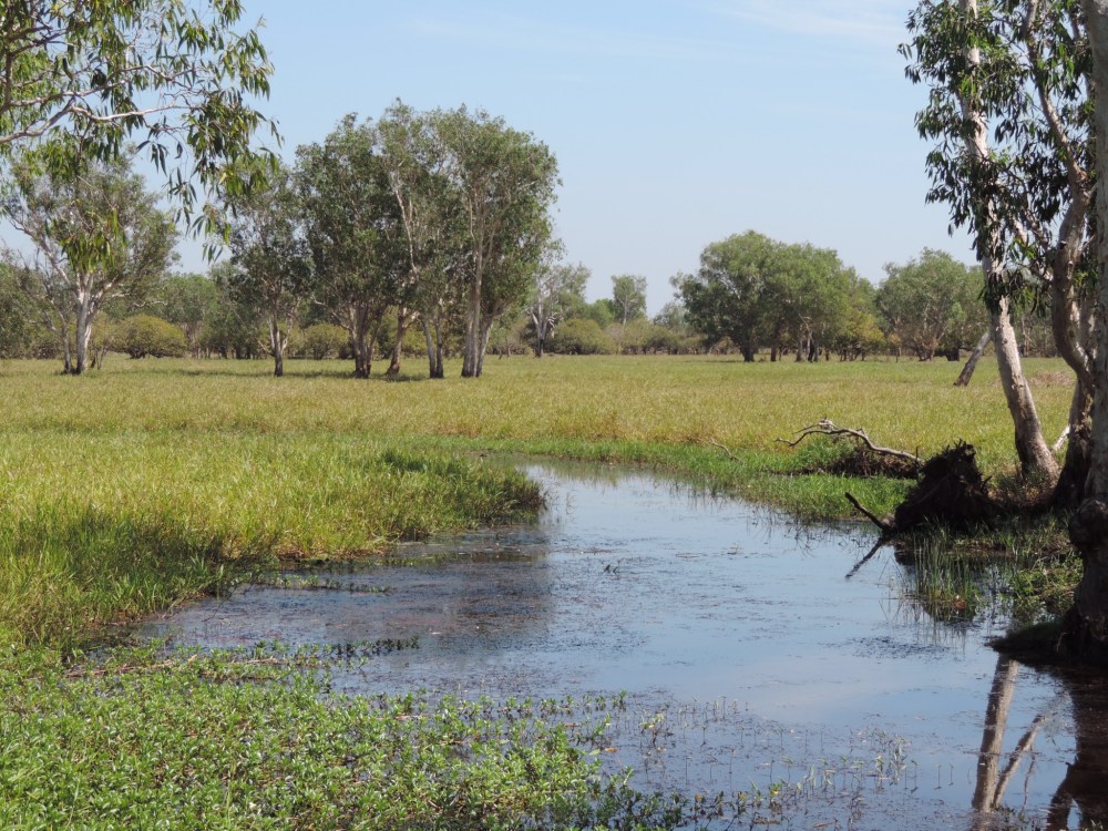 061D2CAE-0886-474F-933B-014DB6C73134