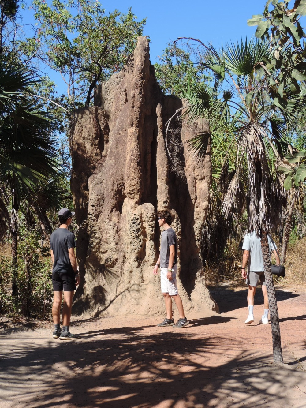 3F6A820F-E514-467E-B0EA-6F5330318376