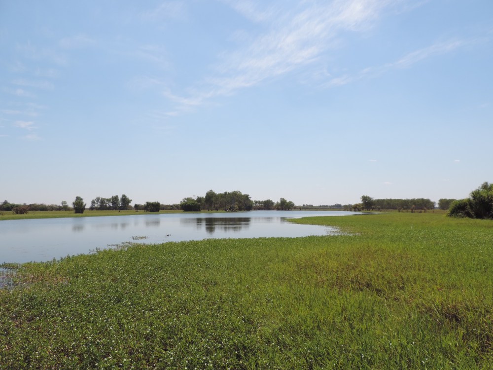 708BDEBC-868A-4A90-A228-CE80C3E11A1C