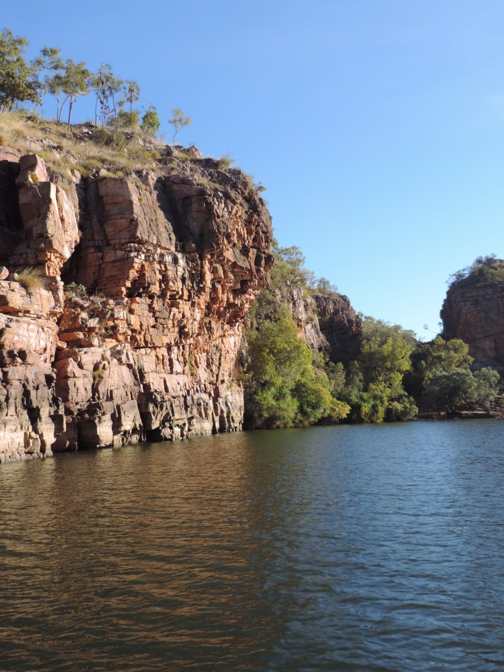 72536D07-8D10-43C3-834C-6363D33C5BA8