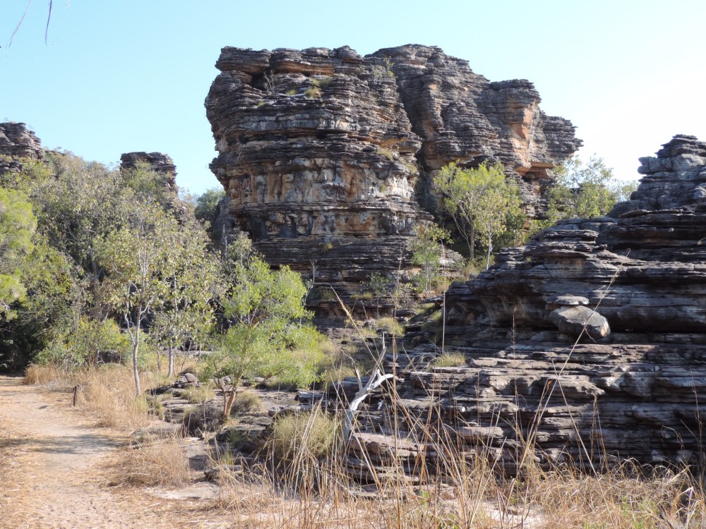 730BC651-E776-4BED-AA20-FF172CEDC952