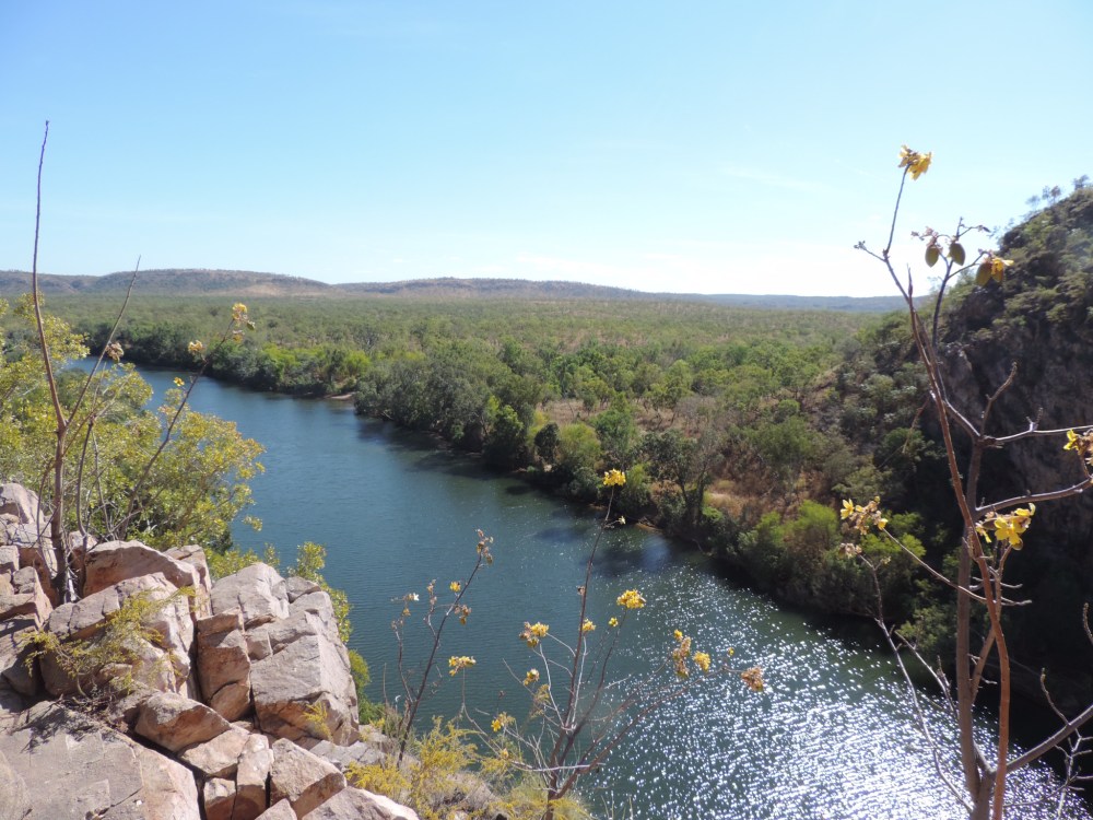 789BC7BF-9FBE-46A8-BEBE-B02DCB30B9E8