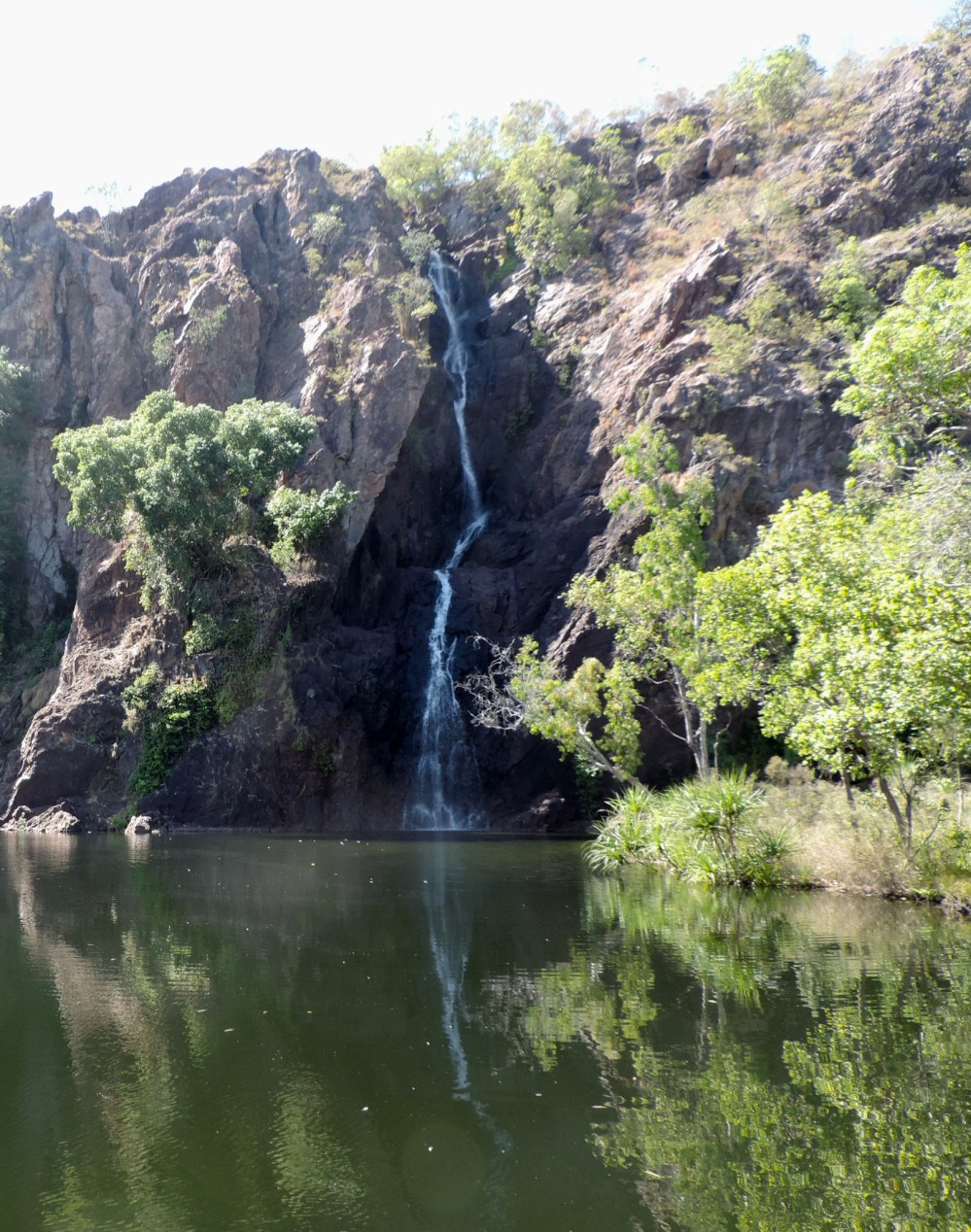 7F7BF280-652C-4D3E-B4FF-4F69AE651289