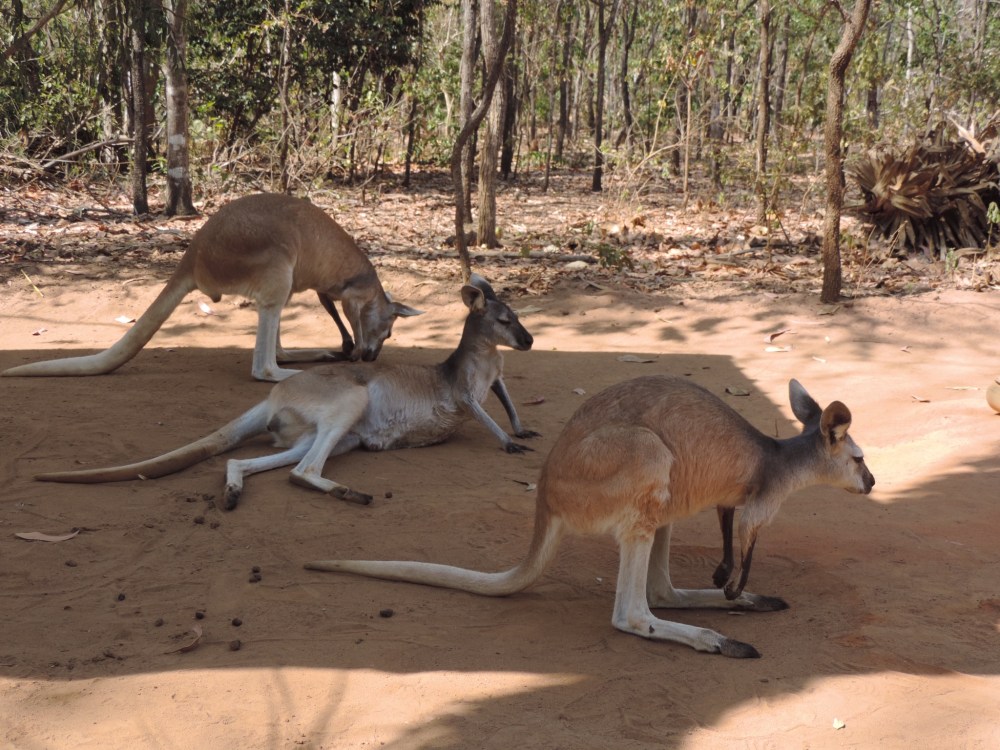 85ED1844-866F-4397-9E76-270DF794A1B8