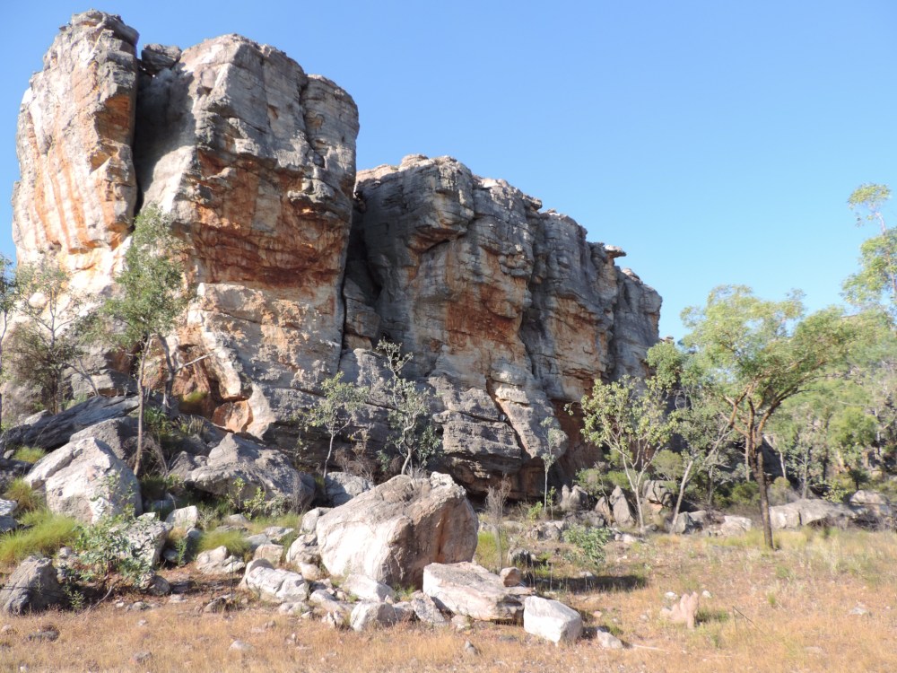 8A9D9A25-6450-4269-95E3-55CEF15FBEE4