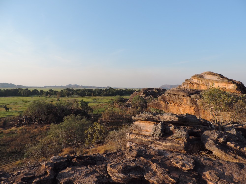 95D59B82-6D92-4F91-9428-6CAF82D1A84D