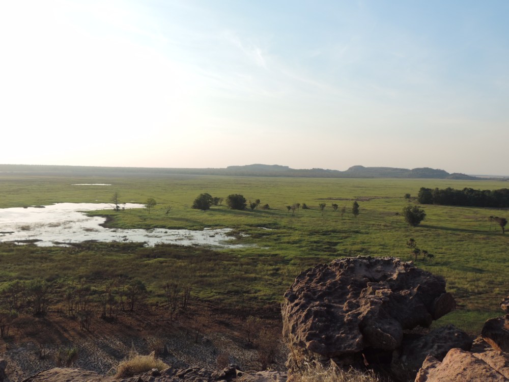 AB2751C0-3E3B-408C-83C1-1D08498116E5