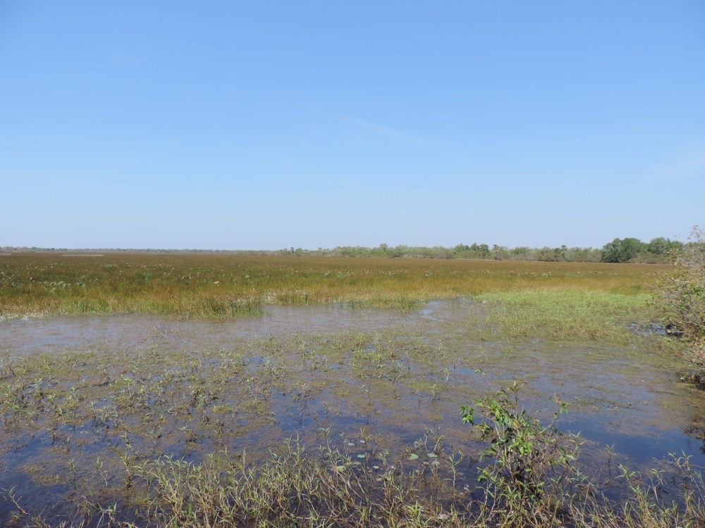 B1C08A37-3A33-4A6A-B1BB-4E45381575BB