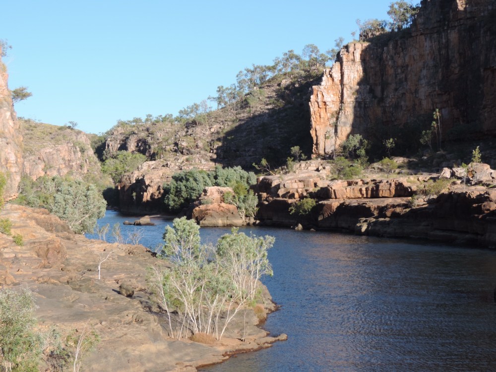 B7538377-F3BC-475A-935D-65031B992402