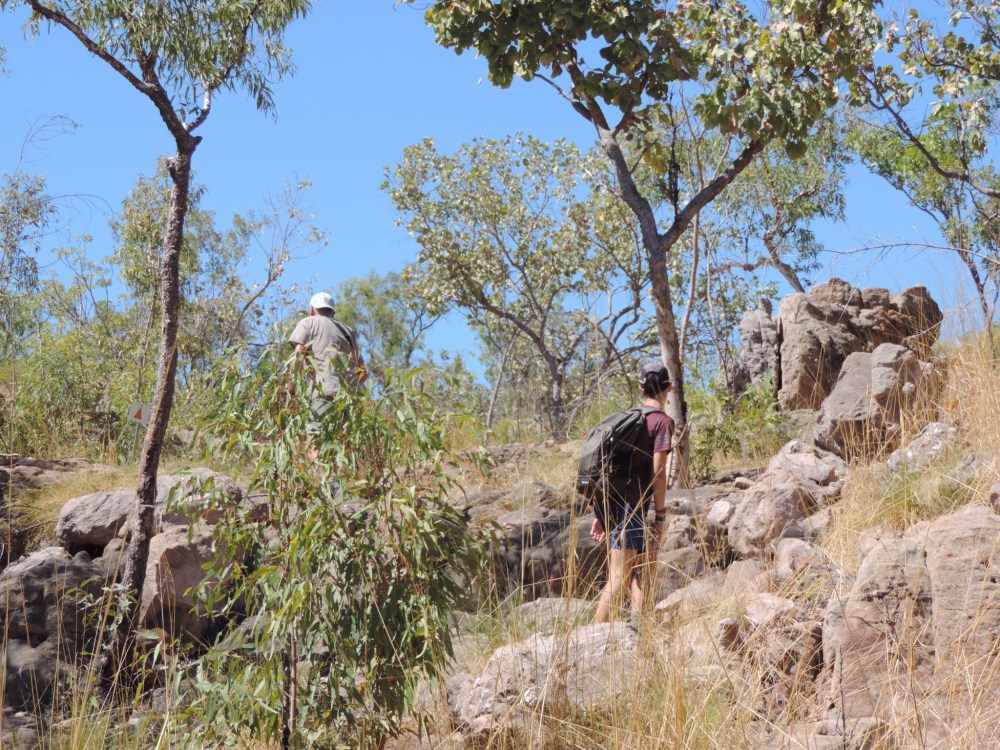 C9BBC8F1-7209-4BD3-8E9F-DABAF29D3D97