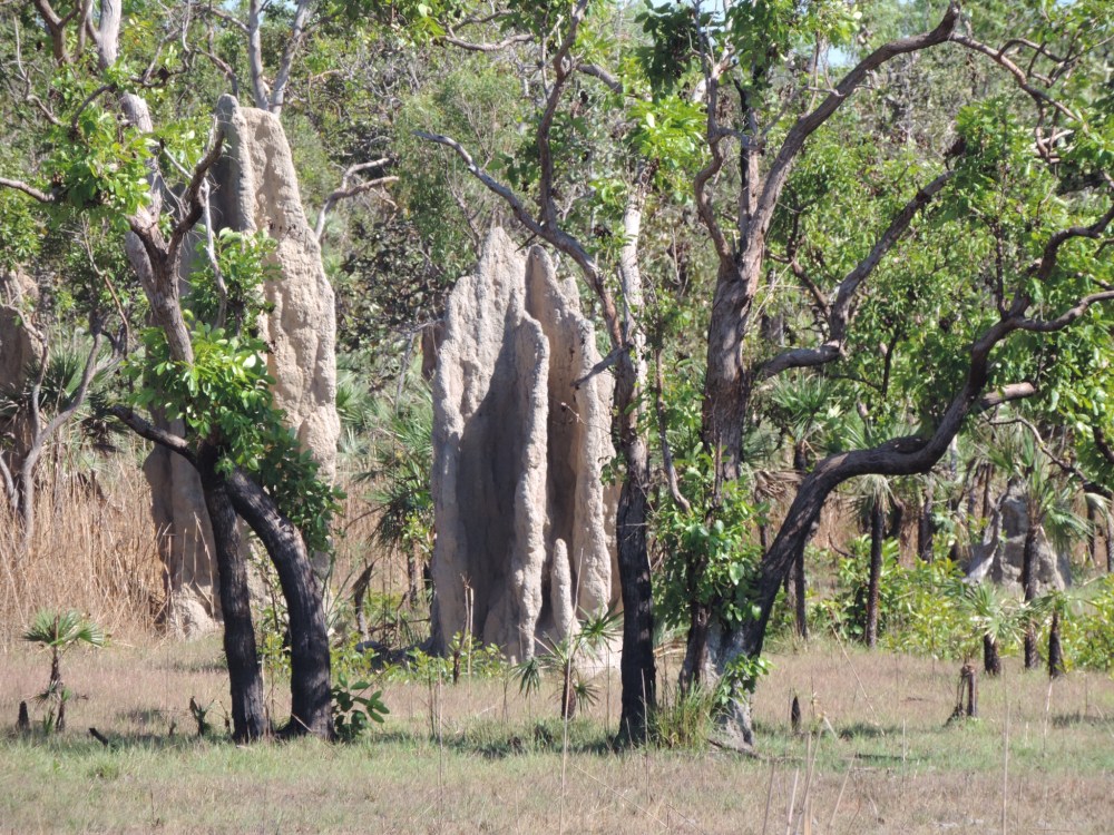 D518A9D9-8342-49C2-B86F-4416C4FC364F