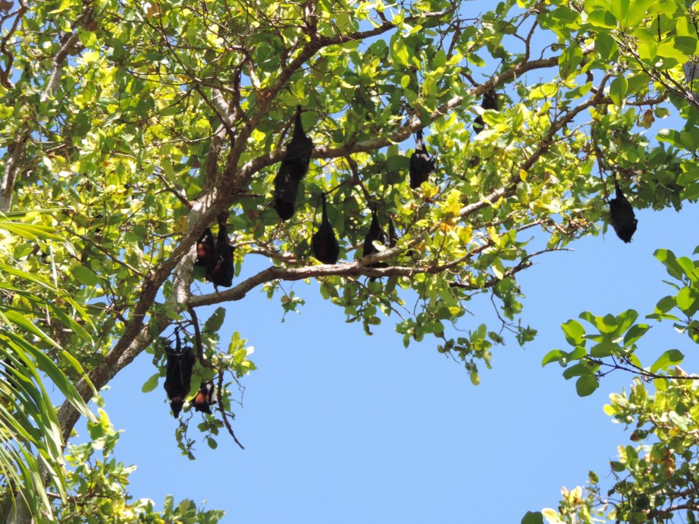 EAE64432-0184-433F-A200-D457D659B43E