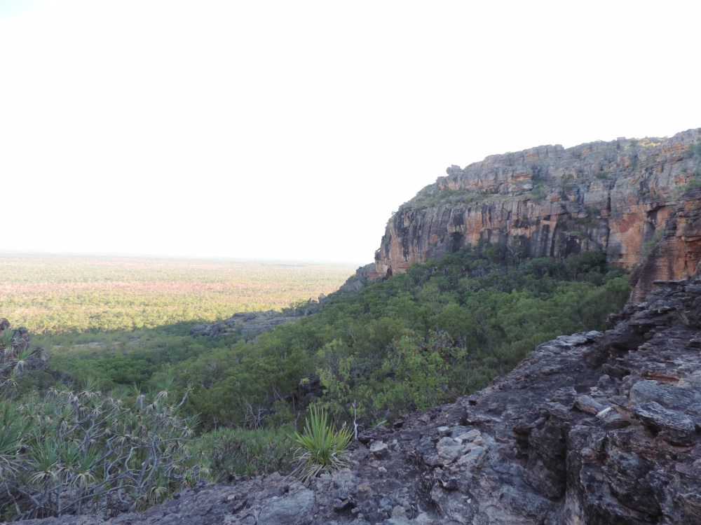 EB7125C4-4545-4CF9-AA38-AF0F36C63A87