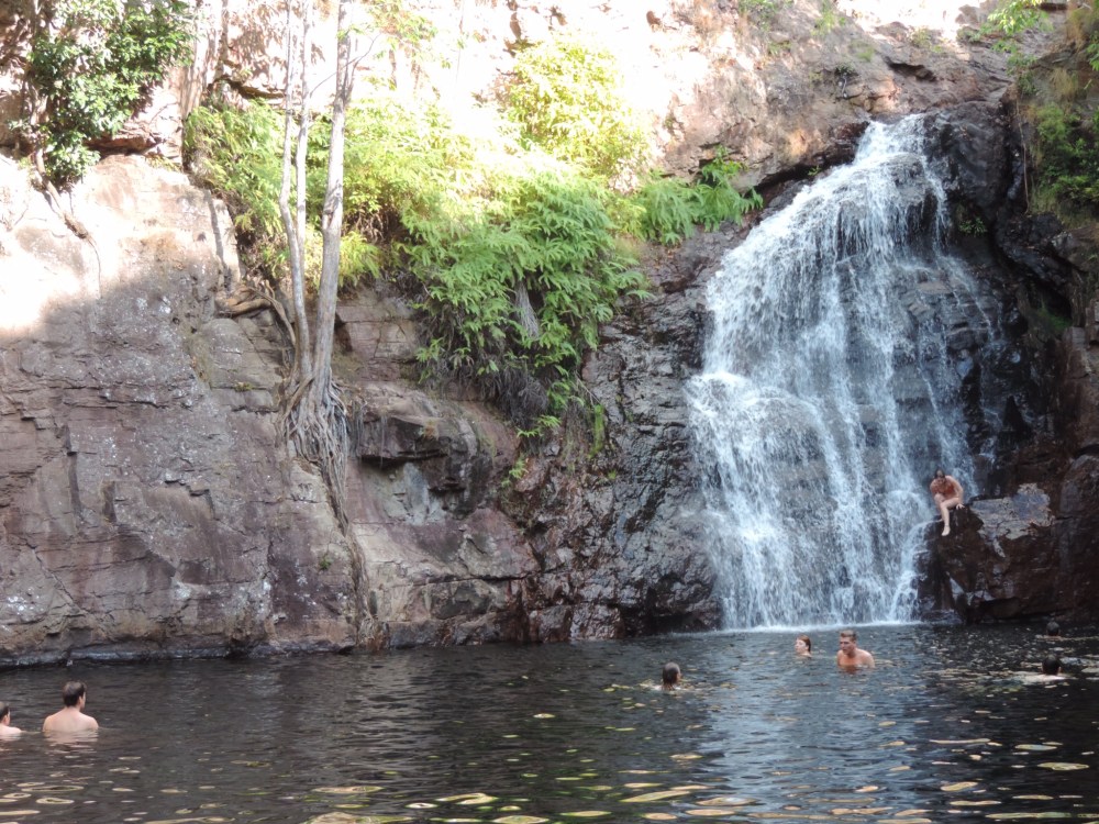 F34CA1D8-ECA2-41AE-BB29-B8B55FA252BD