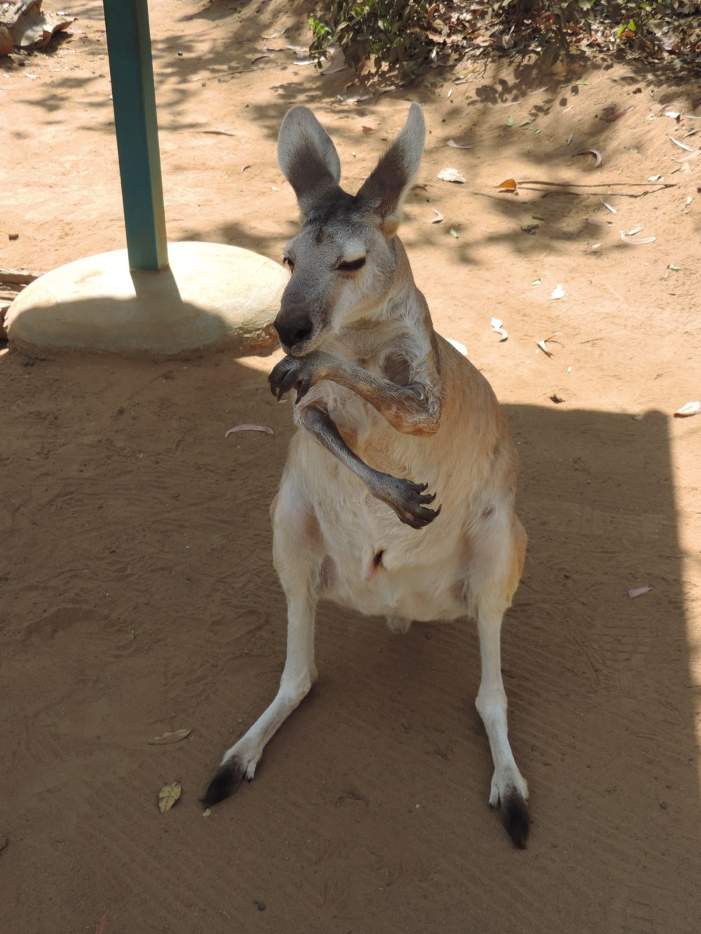 F4B10D5B-6CFA-4072-9650-449EB6FF0785